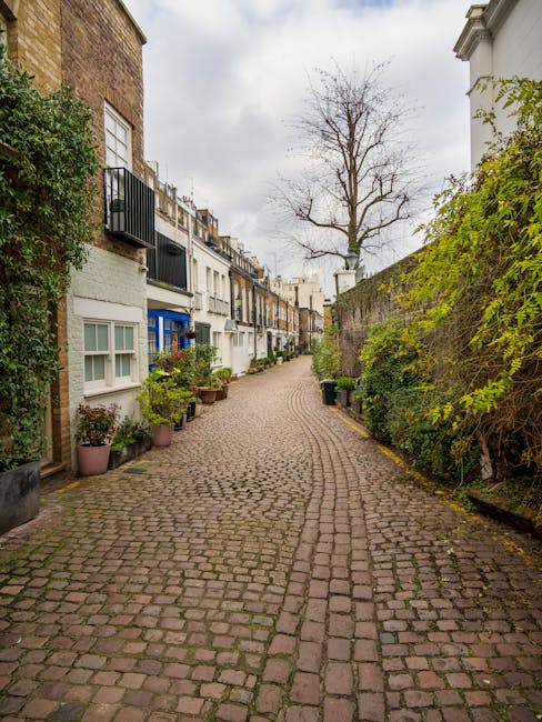 A narrow residential pavement lined with tall leafless trees and a high brick wall on the right side, with shadows cast by the trees across the path. Several parked cars are visible along the street,